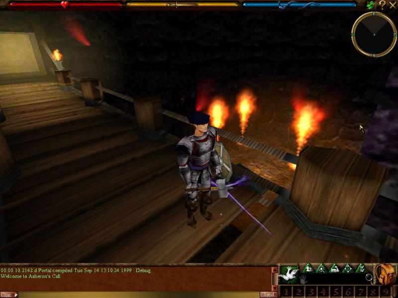 Asheron's Call - screenshot 8