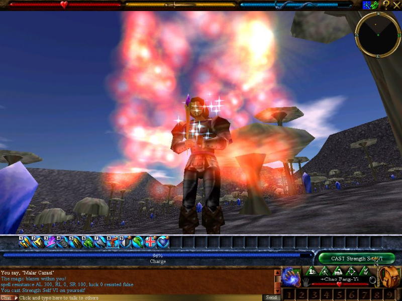 Asheron's Call - screenshot 4