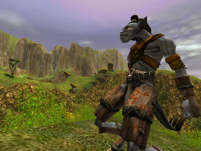 Asheron's Call 2: Fallen Kings - screenshot 20