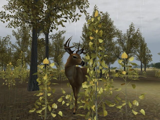 Охота 2005. Игра Deer Hunter 2004. Deer Hunter сега. Deer Hunter 2004 Dominions II: the Ascension Wars. Hunter Deer role Note.