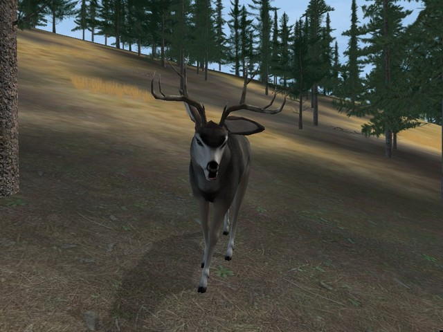 Deer Hunter 2004 - screenshot 49