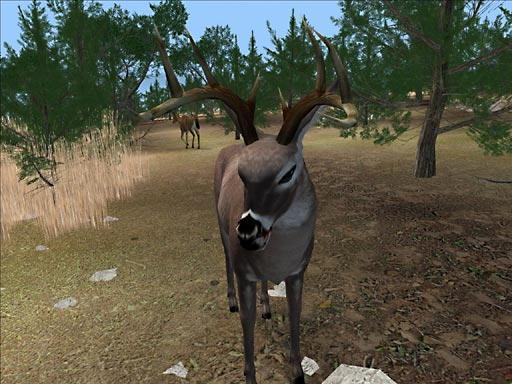 Deer Hunter 2004 - screenshot 28