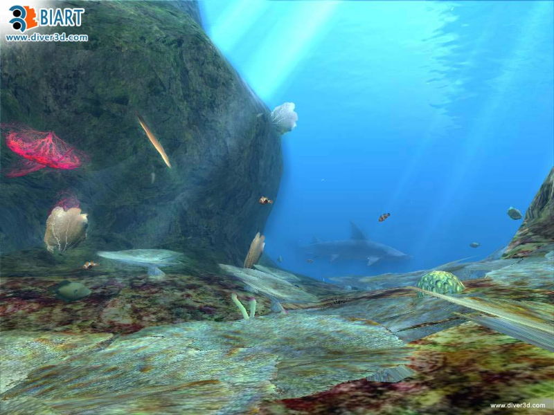 Diver: Deep Water Adventures - screenshot 157