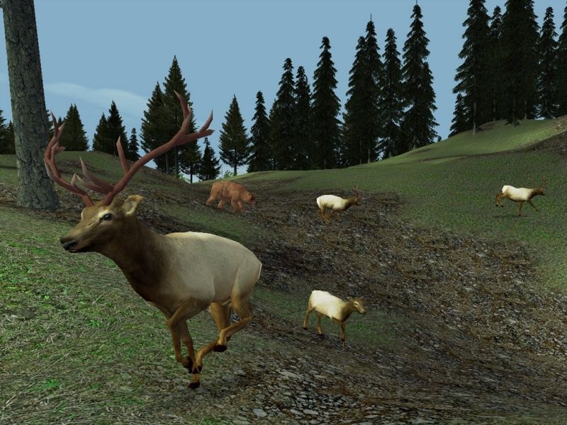 Hunting Unlimited 2 - screenshot 35