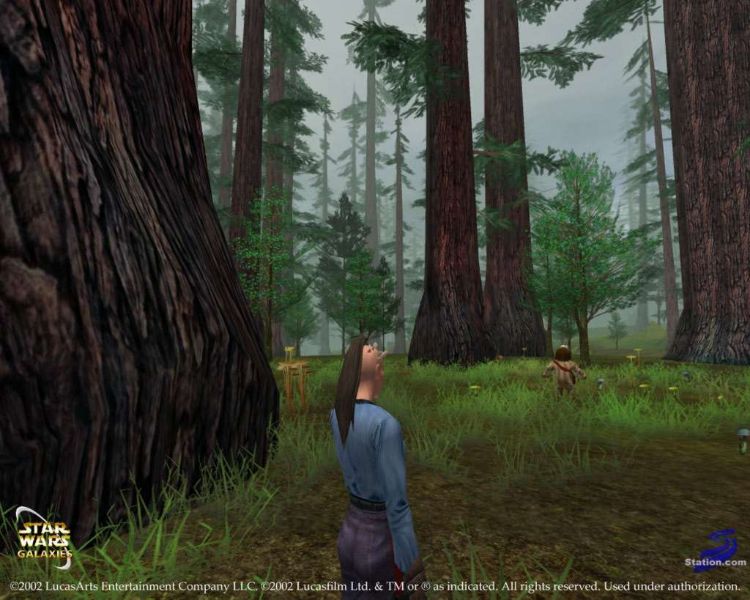 Star Wars Galaxies: An Empire Divided - screenshot 45