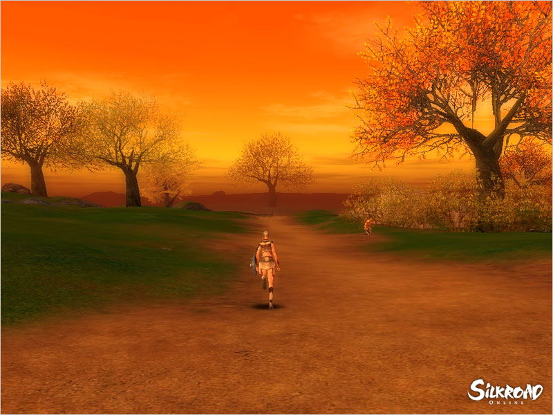 Silkroad Online - screenshot 37