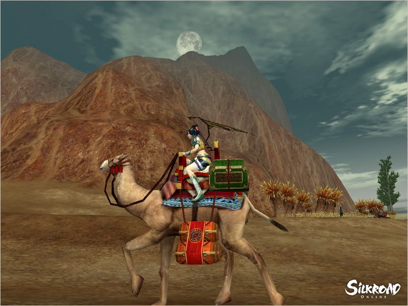 Silkroad Online - screenshot 27