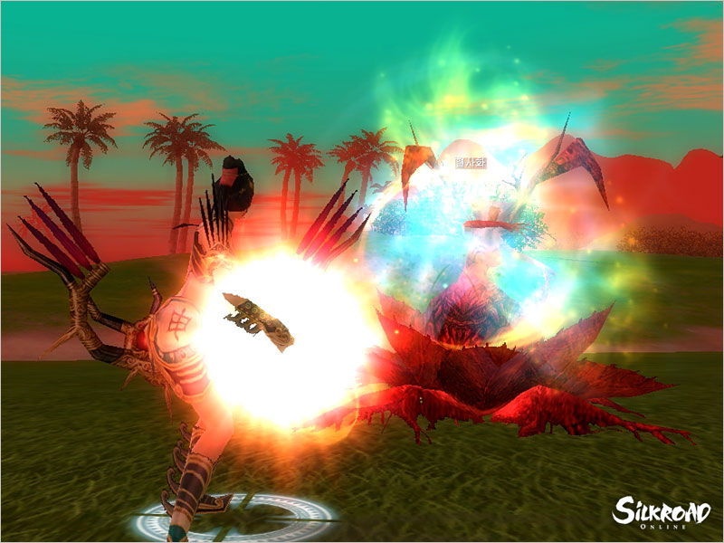 Silkroad Online - screenshot 3