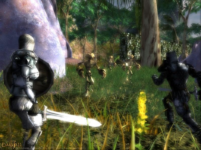 Darkfall Online - screenshot 17