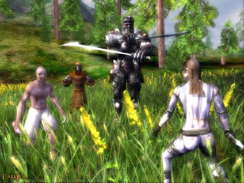 Darkfall Online - screenshot 13