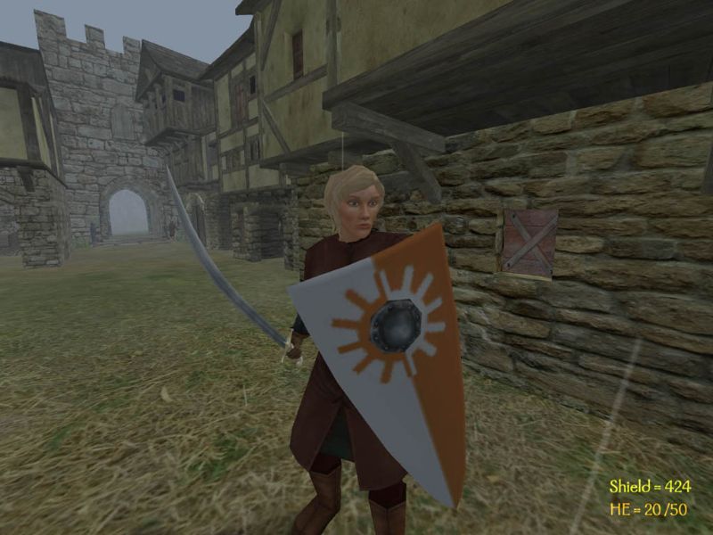 Mount & Blade - screenshot 8