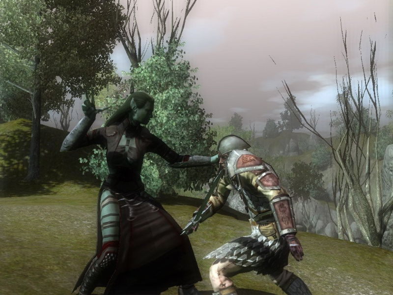 Neverwinter Nights 2 - screenshot 24