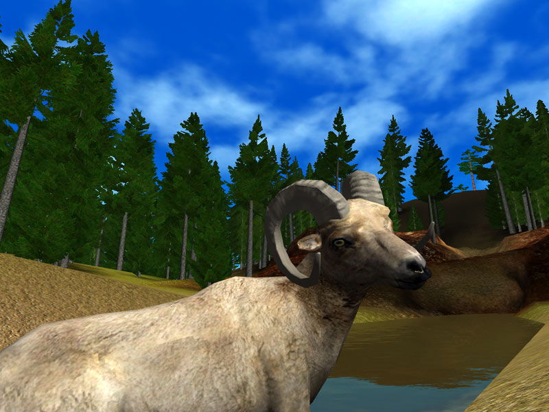 Hunting Unlimited 4 - screenshot 15