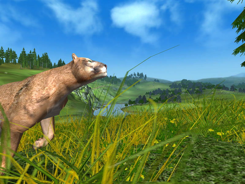 Hunting Unlimited 4 - screenshot 14