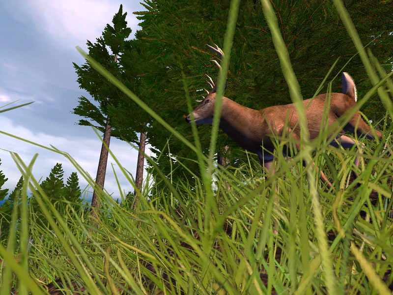 Hunting Unlimited 4 - screenshot 1