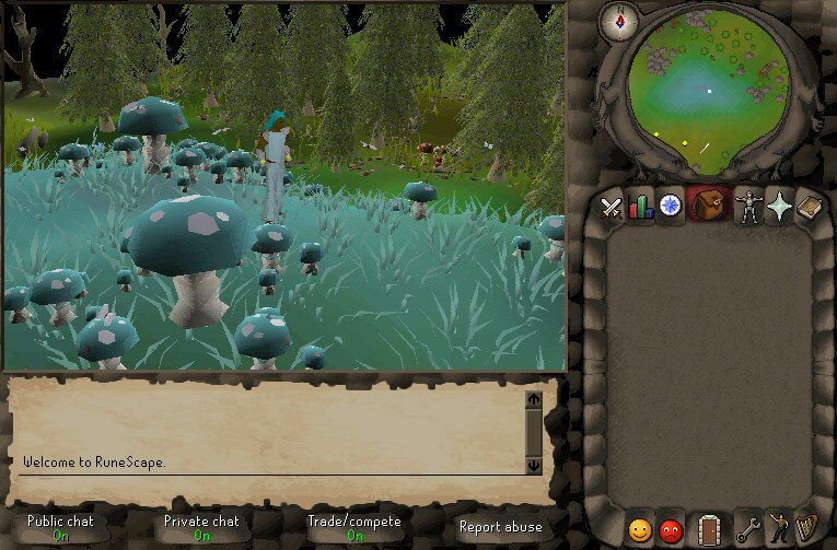 RuneScape - screenshot 28