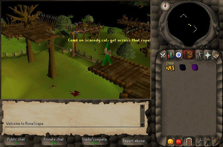 RuneScape - screenshot 25