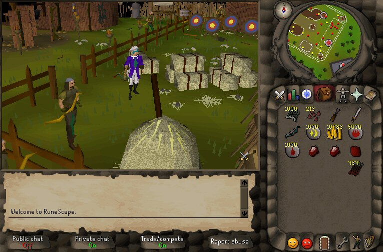 RuneScape - screenshot 12