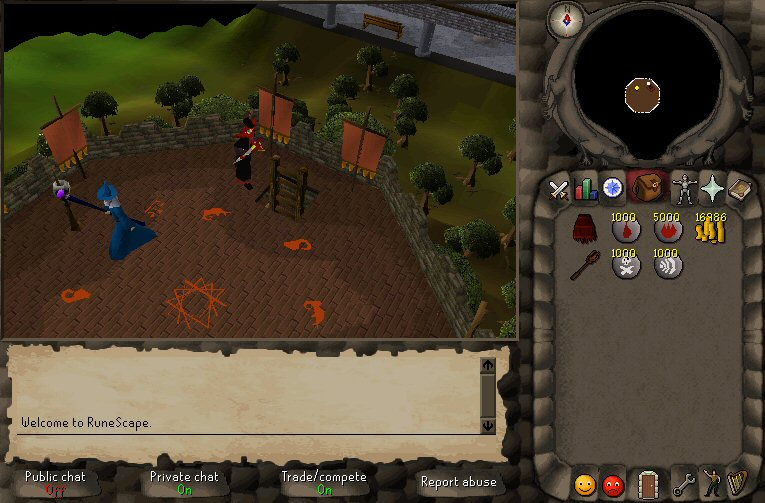 RuneScape - screenshot 9