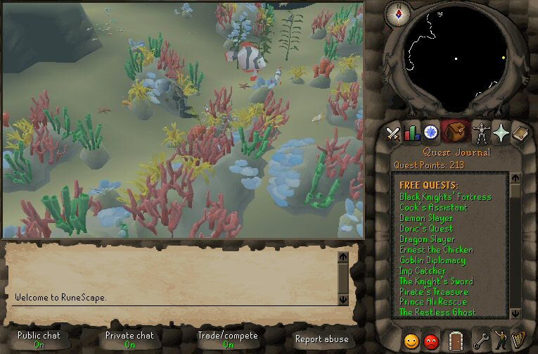 RuneScape - screenshot 5