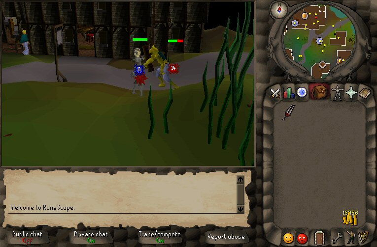 RuneScape - screenshot 3