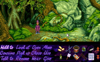 Simon the Sorcerer - screenshot 33