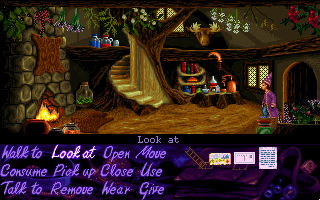 Simon the Sorcerer - screenshot 14