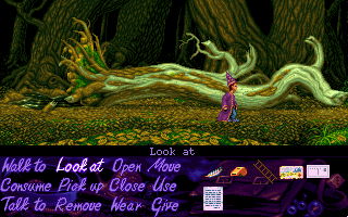 Simon the Sorcerer - screenshot 10