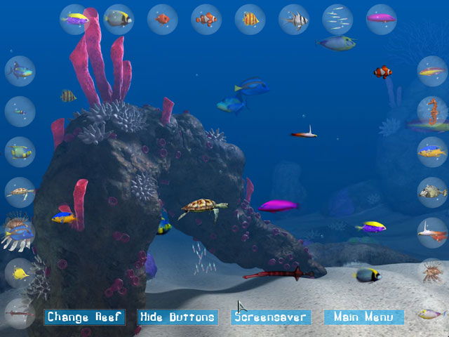 Game big kahuna reef 2 full version