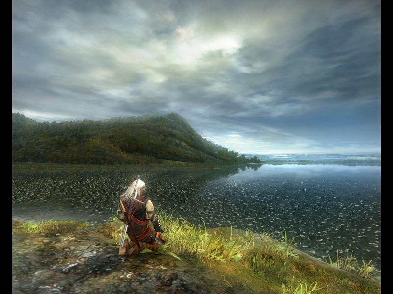 The Witcher - screenshot 20