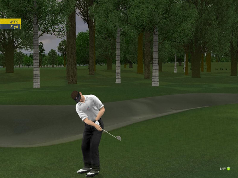 ProStroke Golf: World Tour 2007 - screenshot 70