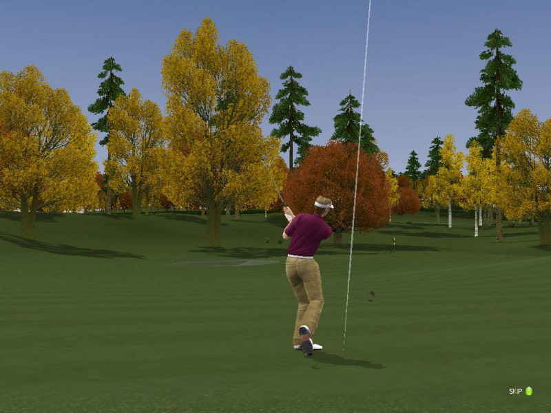 ProStroke Golf: World Tour 2007 - screenshot 19