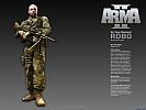 ARMA II - wallpaper #13