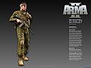 ARMA II - wallpaper #14