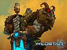 WildStar - wallpaper #3