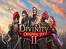 Divinity: Original Sin II - wallpaper #1