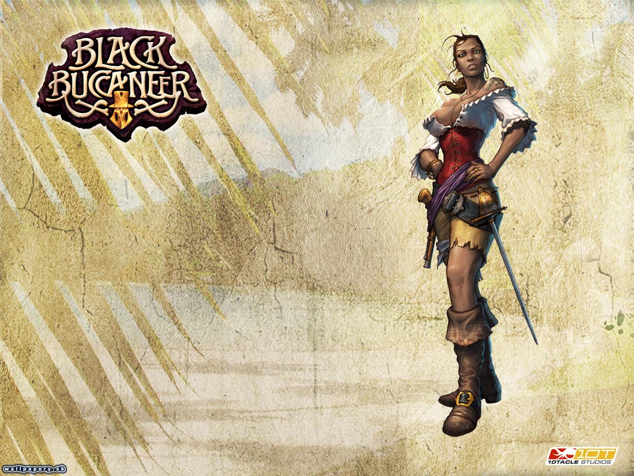 Black Buccaneer - wallpaper 2