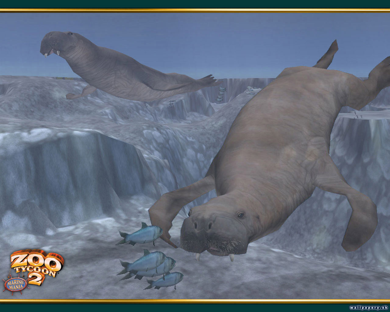 Zoo Tycoon 2: Marine Mania - wallpaper 2