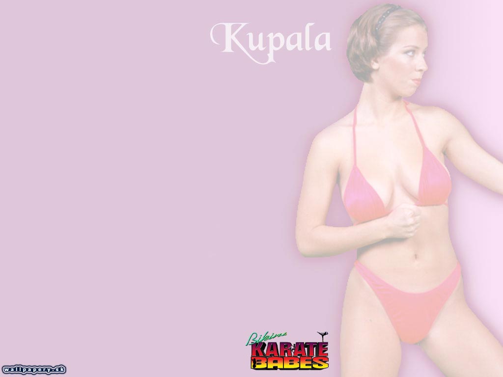 Bikini Karate Babes - wallpaper 3