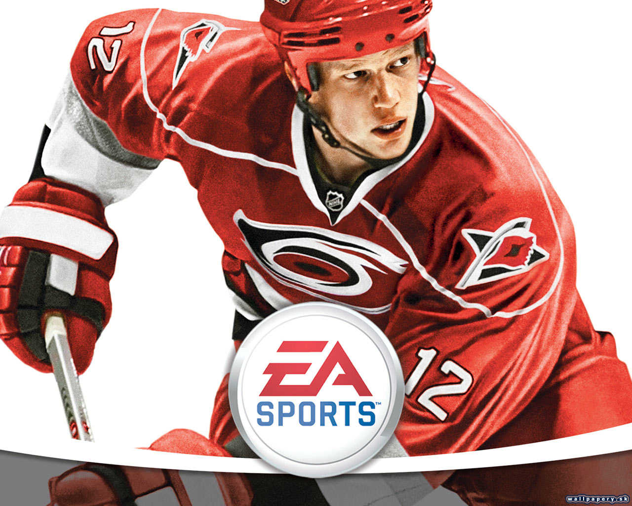 NHL 08 - wallpaper 31