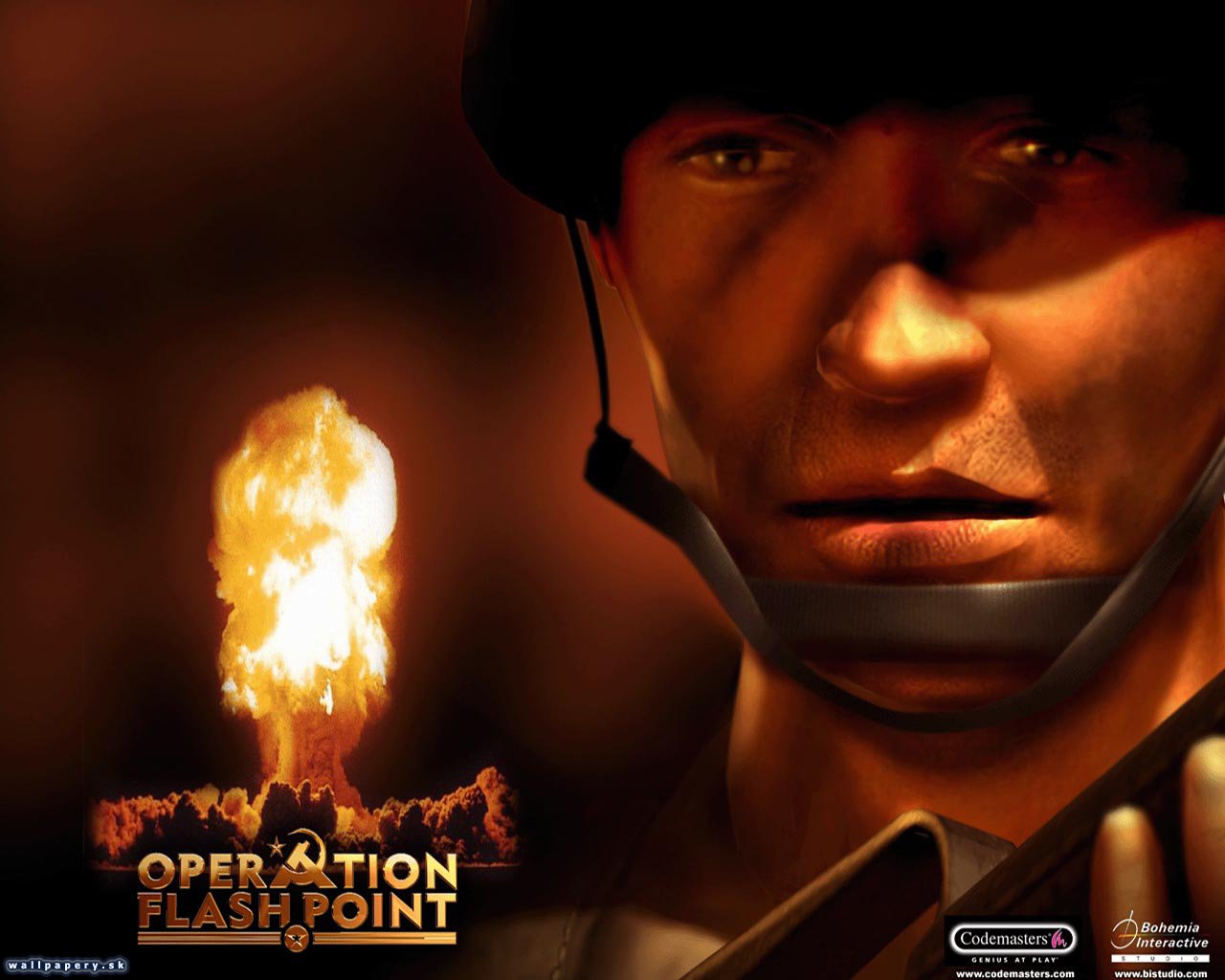 Operation Flashpoint: Cold War Crisis - wallpaper 1