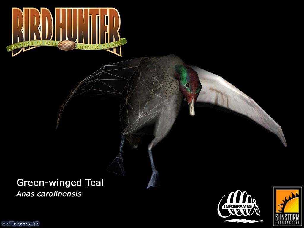 Bird Hunter 2003 - wallpaper 6