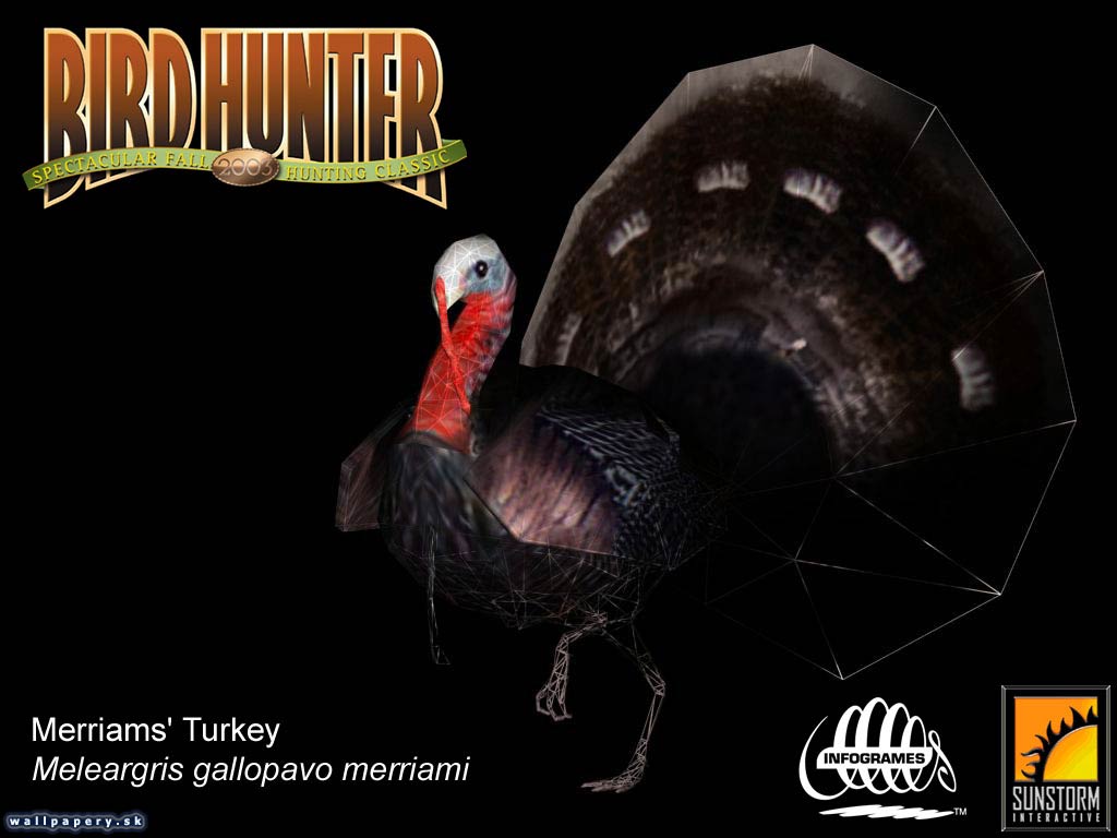 Bird Hunter 2003 - wallpaper 11