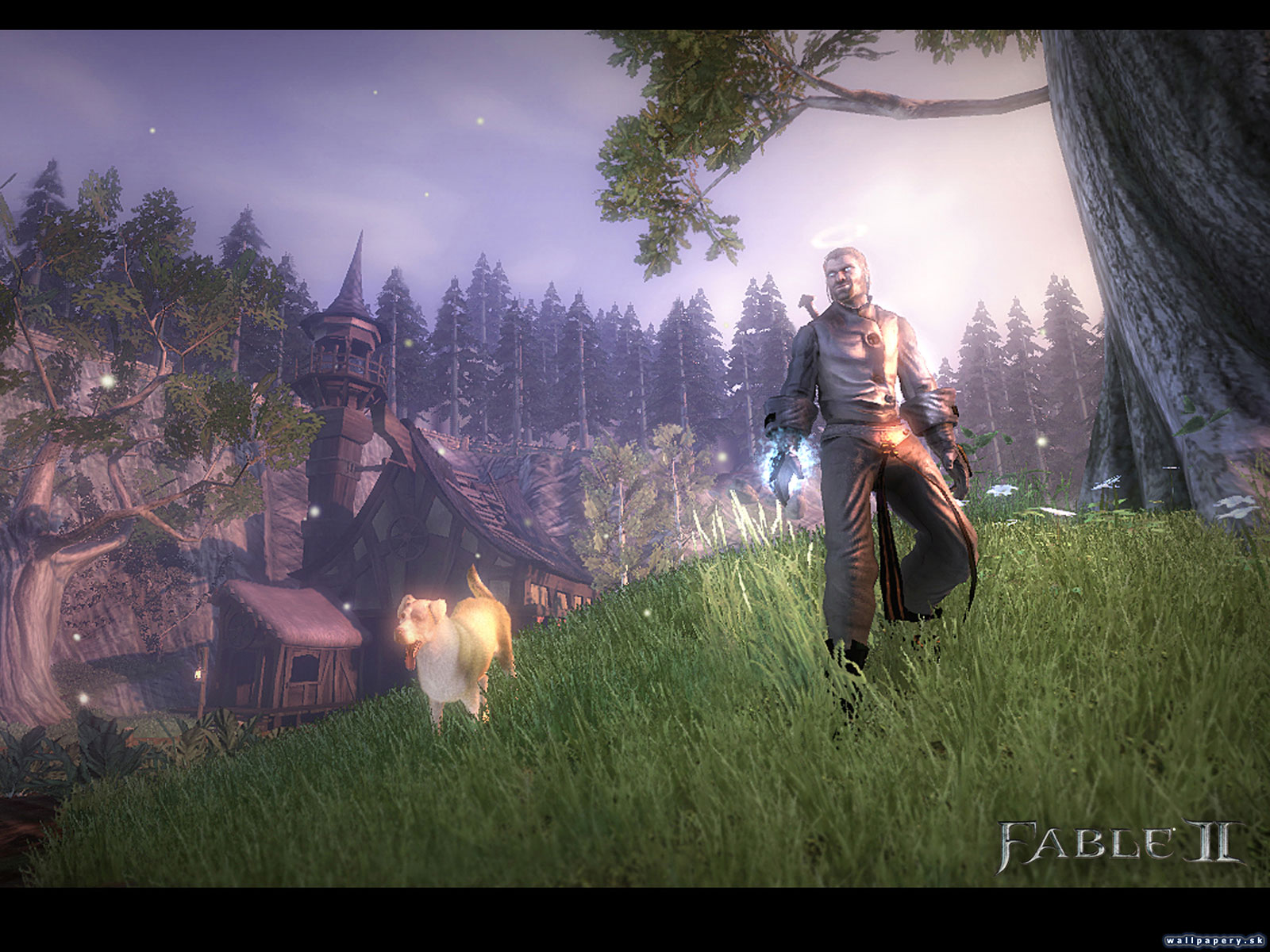 Fable II - wallpaper 25