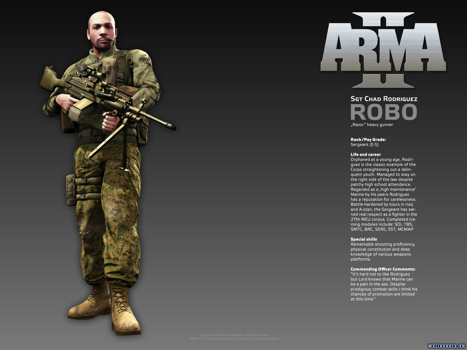 ARMA II - wallpaper 13