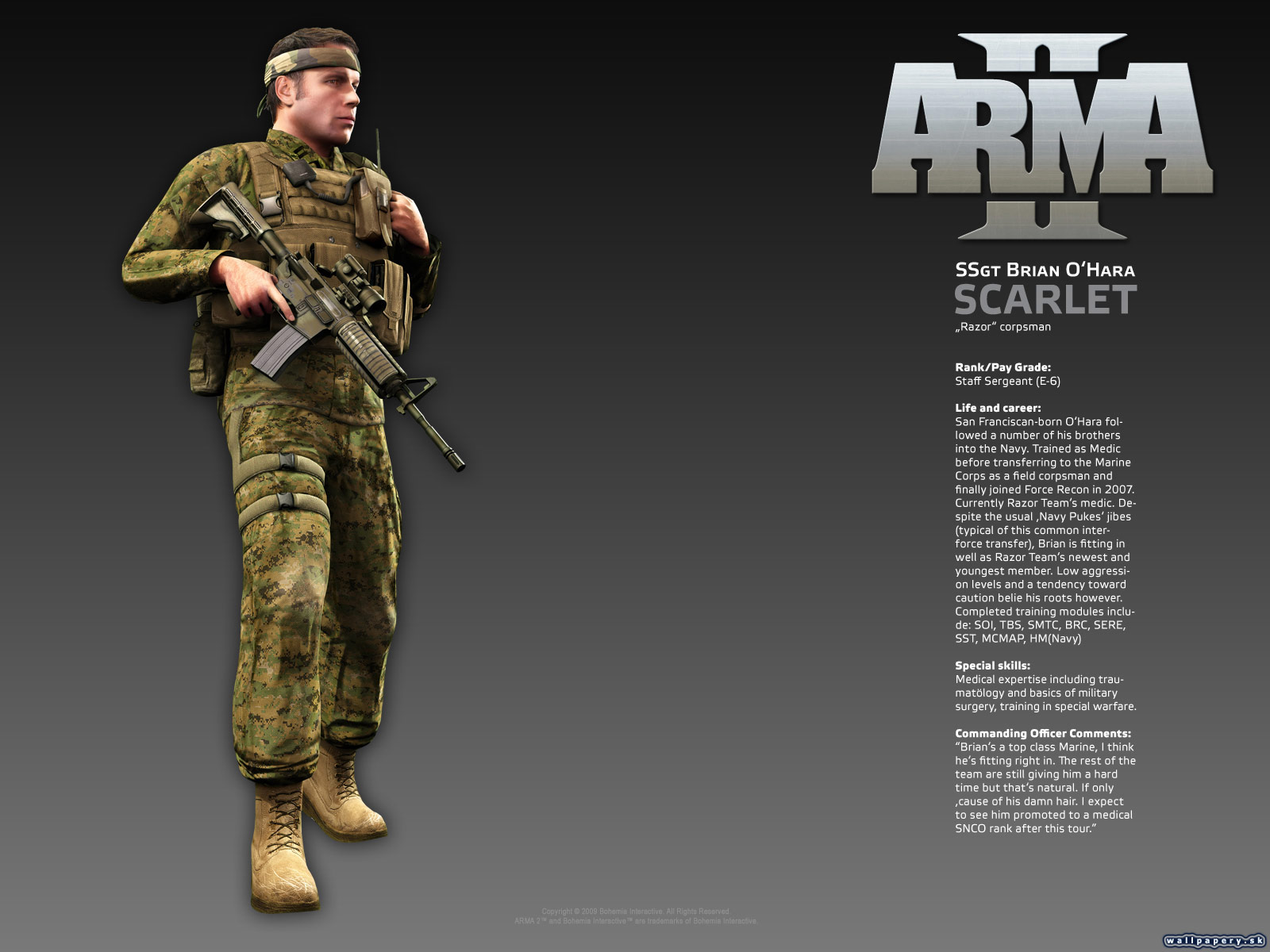 ARMA II - wallpaper 14