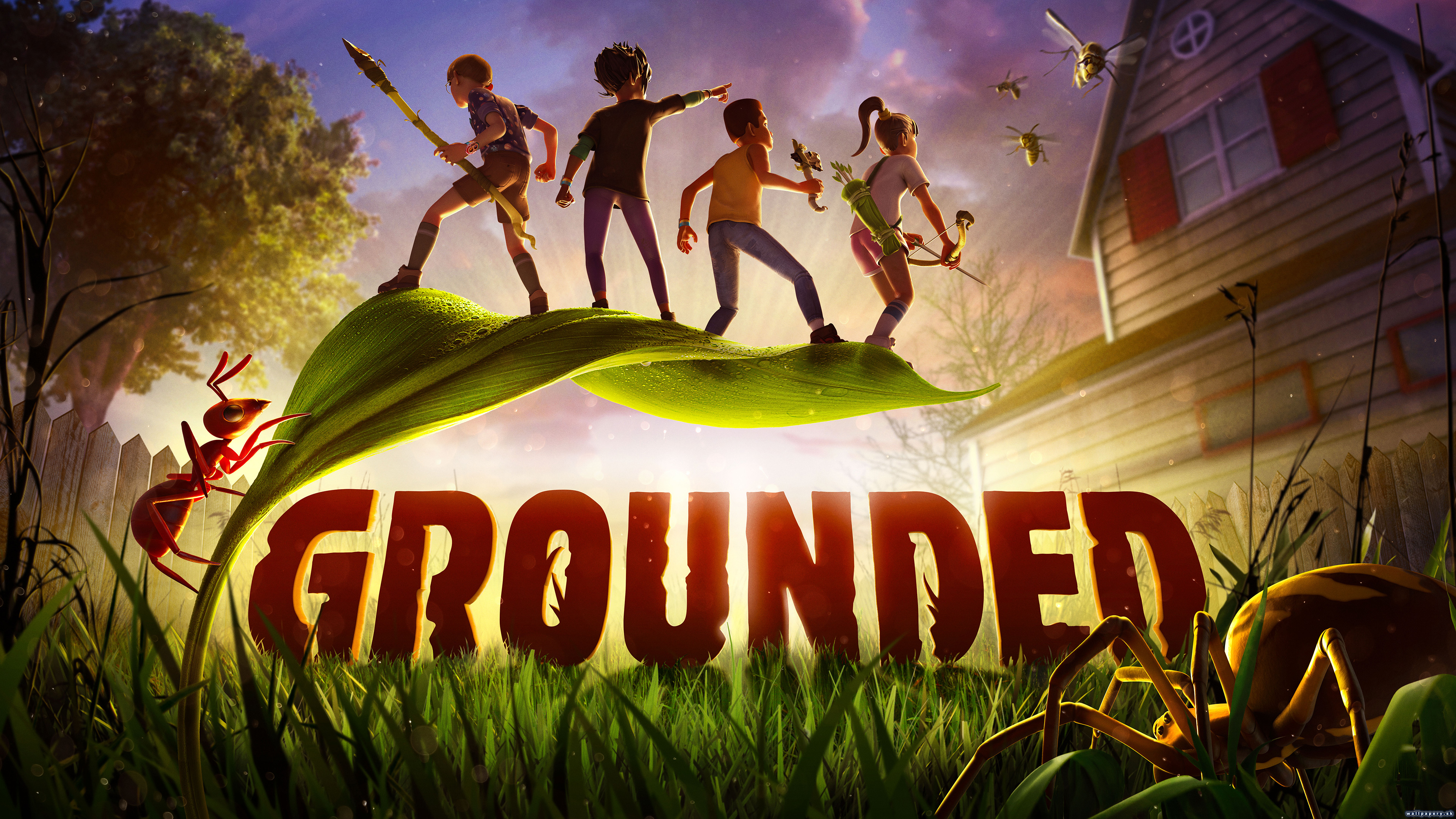 Grounded - wallpaper 1