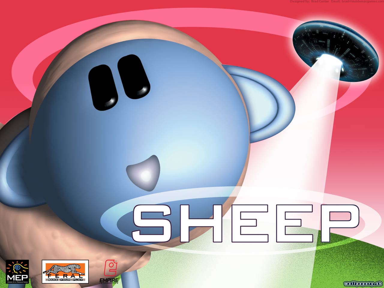 Sheep - wallpaper 1