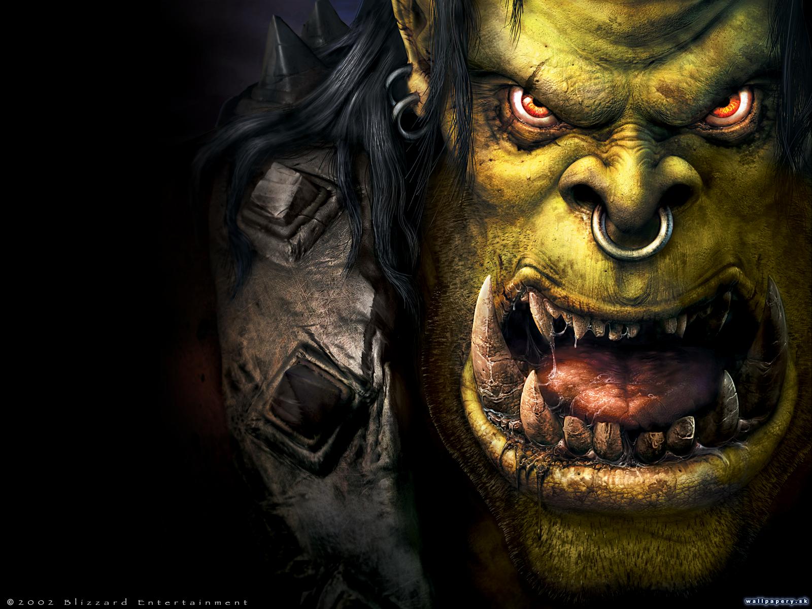 WarCraft 3: Reign of Chaos - wallpaper 21